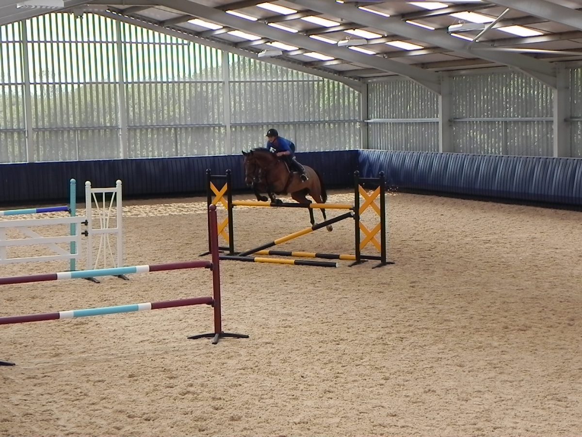 Equestrian Facilities Planning Permission Guide | AT Bone & Sons Limited