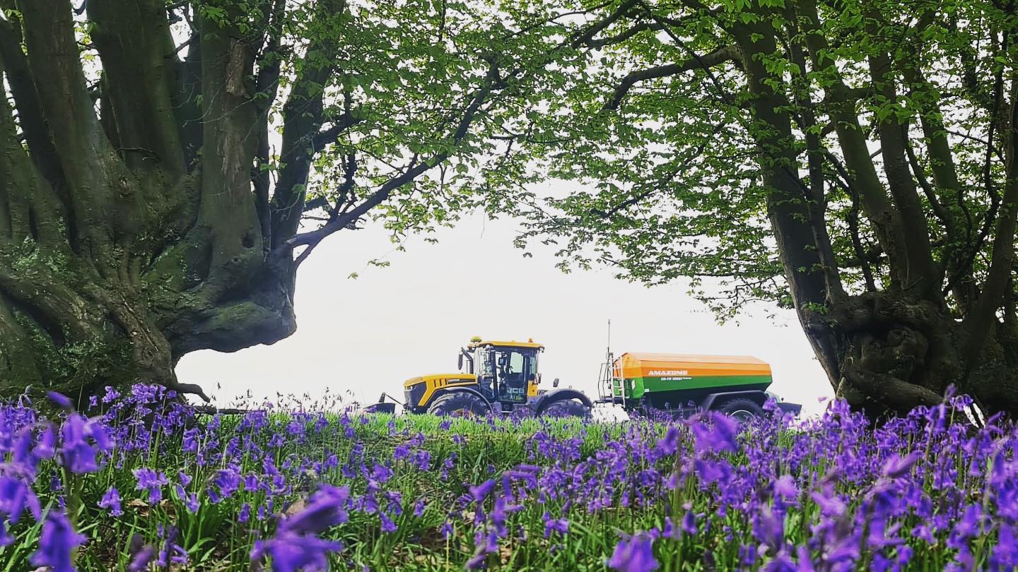 tractor driving through field of bluebells